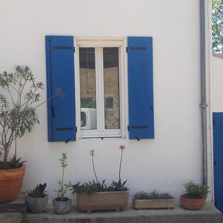 Maison Occitane Saint-Nazaire-d'Aude ภายนอก รูปภาพ